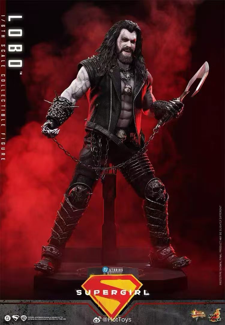 【預購】DC《超級少女》暴狼羅伯 MMS890 X HOTTOYS(HT)6