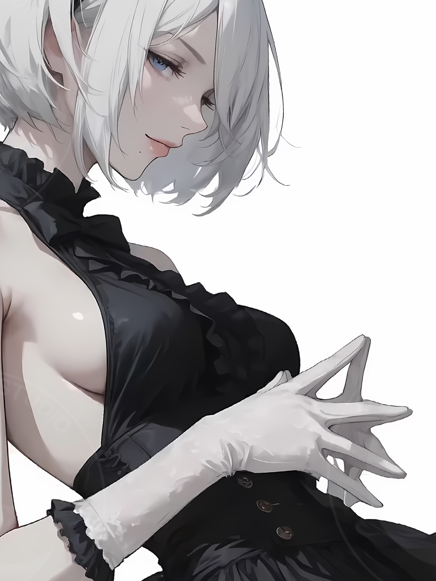 【預購】尼爾自動人形《黑裙2B》動漫裝飾畫 X 星空工作室5
