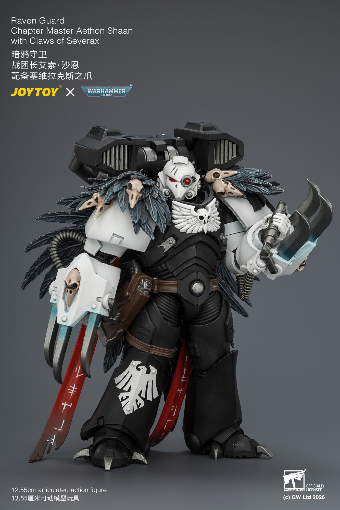 【預購】暗鴉守衛 戰團長艾索·沙恩 JT04742 X JOYTOY3