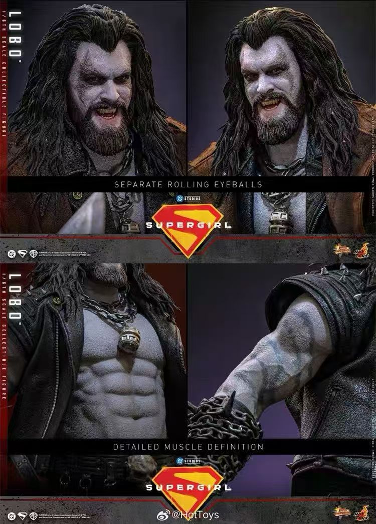 【預購】DC《超級少女》暴狼羅伯 MMS890 X HOTTOYS(HT)11
