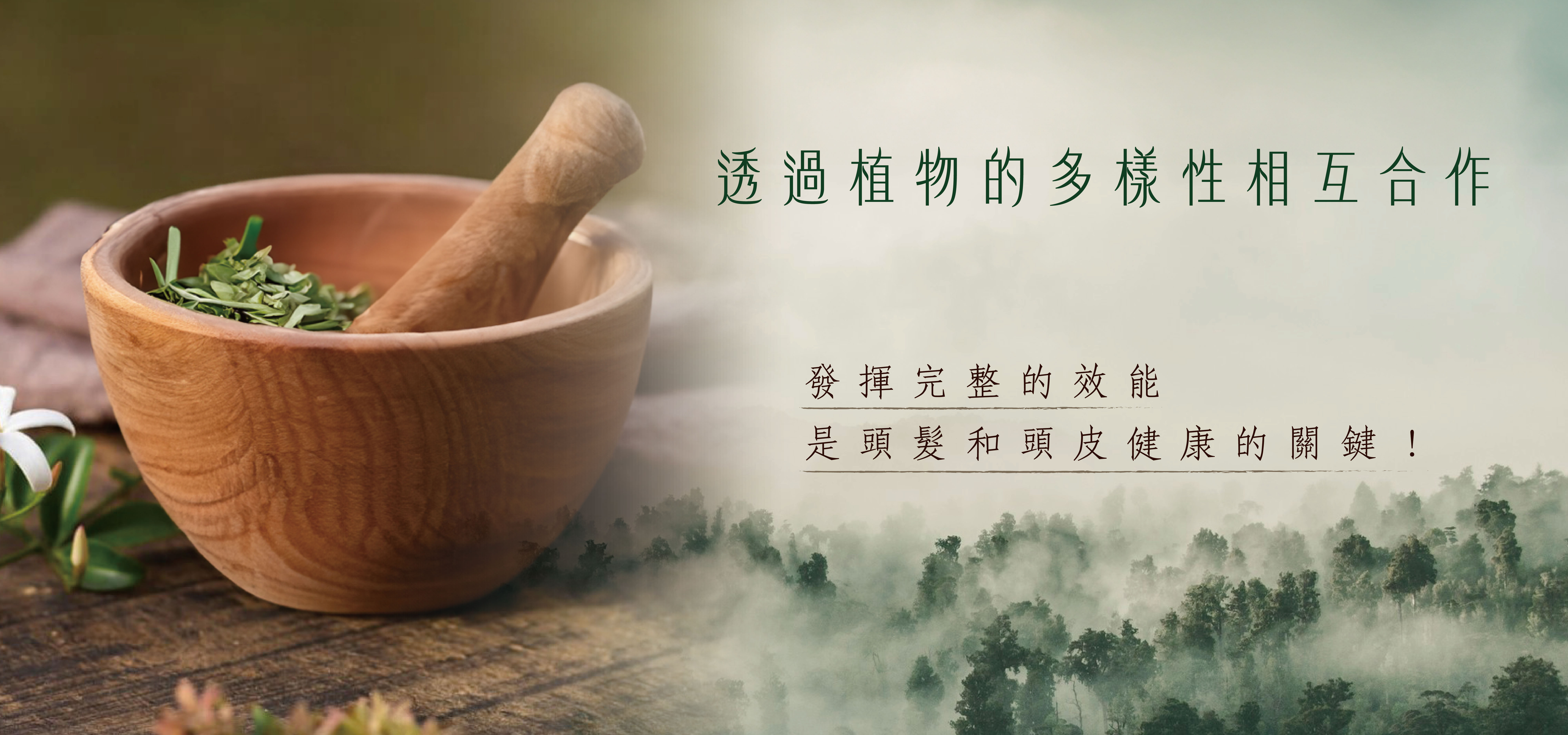 單樣植物配方，搭配草本頭髮增色粉，能夠發揮完整效能，頭皮頭髮健康不是夢