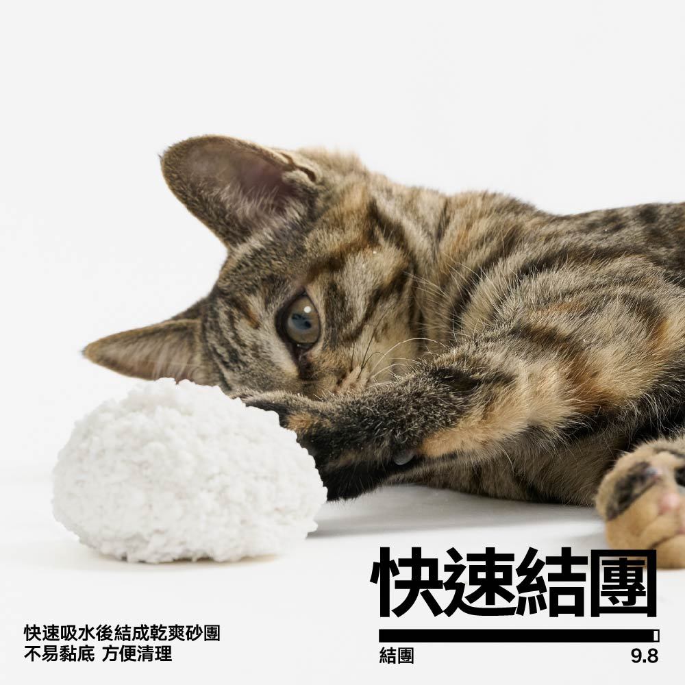 木薯砂4包入3