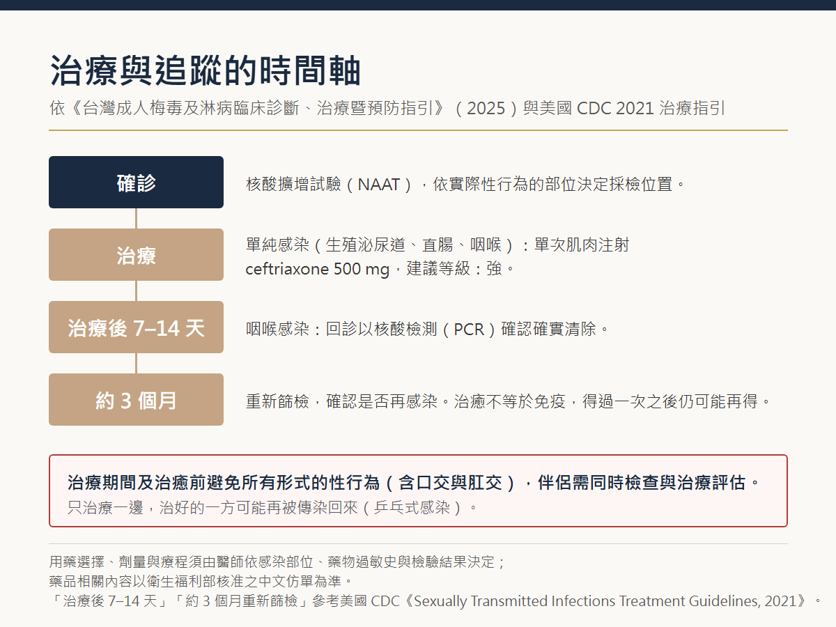淋病治療與追蹤時間軸：確診以核酸擴增試驗（NAAT）依性行為部位採檢；單純感染單次肌肉注射 ceftriaxone 500 mg；咽喉感染於治療後 7 至 14 天回診以核酸檢測（PCR）確認清除；約 3 個月重新篩檢確認是否再感染；治療期間及治癒前避免所有形式性行為，伴侶需同時檢查與治療評估。