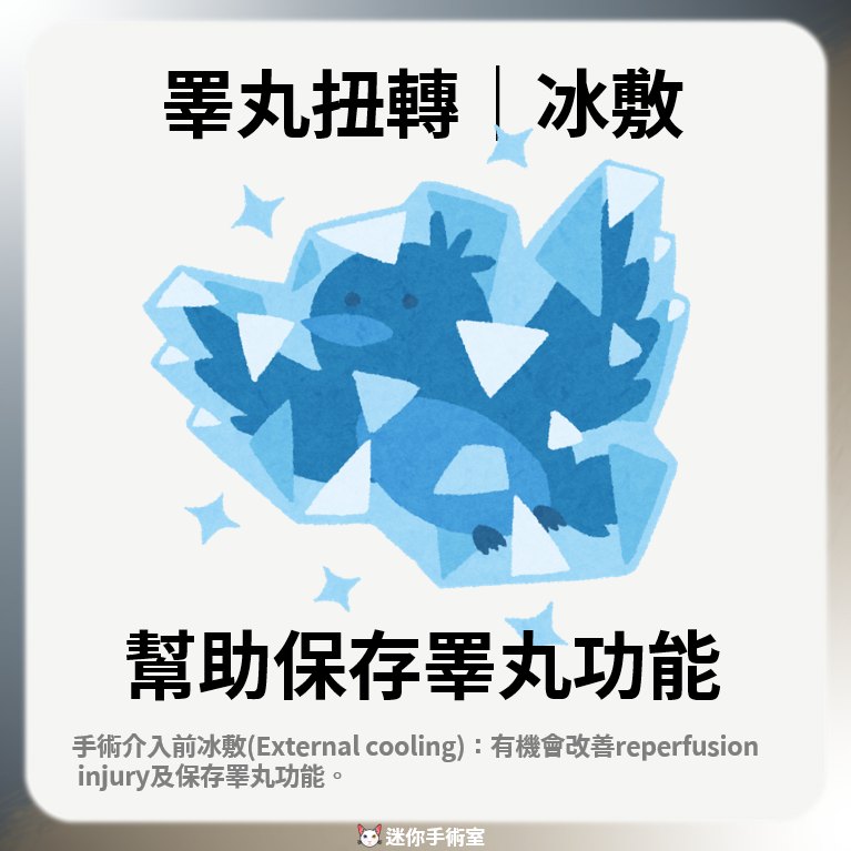 手術介入前的降溫處置有機會改善再灌流傷害並保存睪丸功能