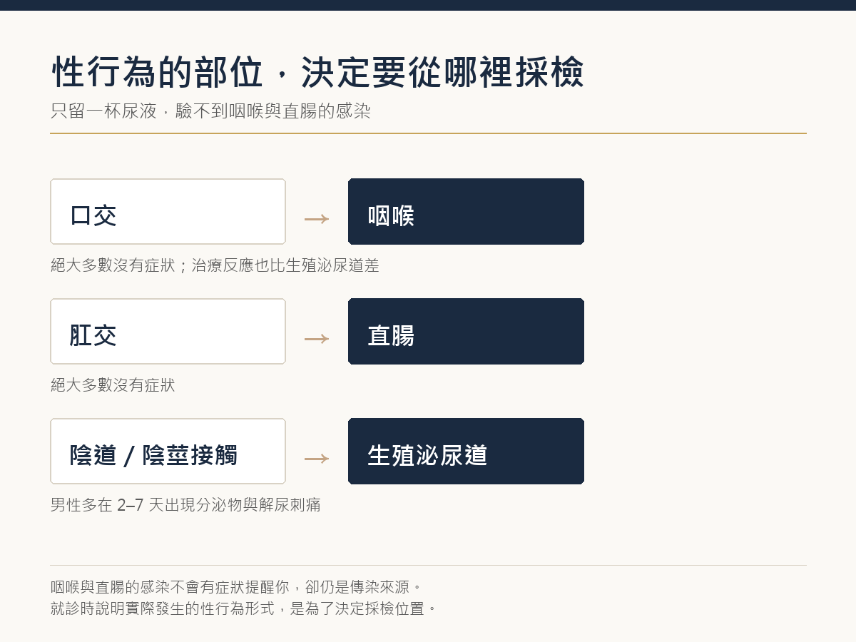 性行為部位與採檢位置對照-昭安泌尿科診所 性行為部位與採檢位置對照:口交對應咽喉、肛交對應直腸、陰道或陰莖接觸對應生殖泌尿道;咽喉與直腸的感染絕大多數沒有症狀,只驗尿液驗不到。