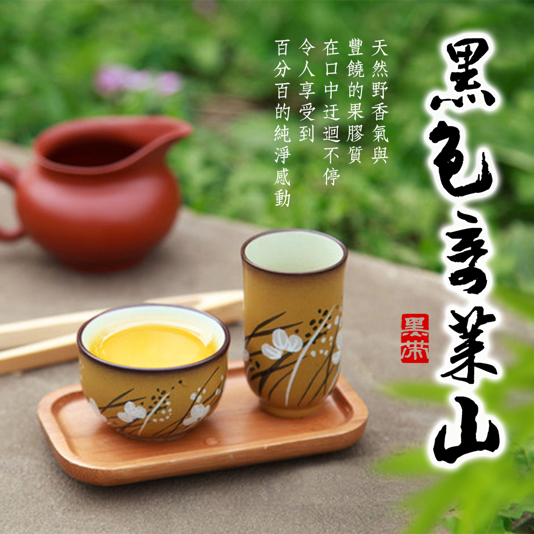 ├ 黑色奇萊山 ┤