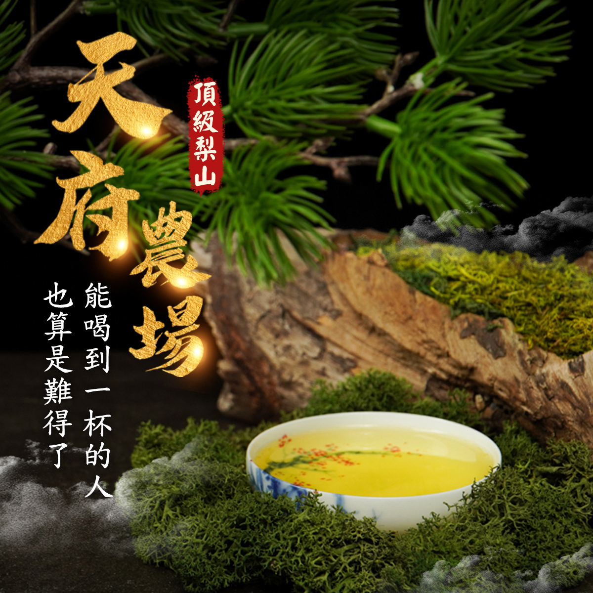 ├ 天府農場 ┤