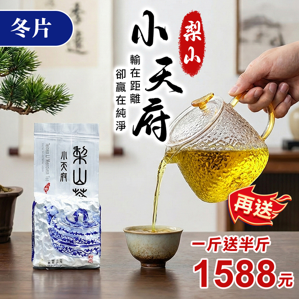 ├梨山小天府冬片 ┤再送龍紋壺