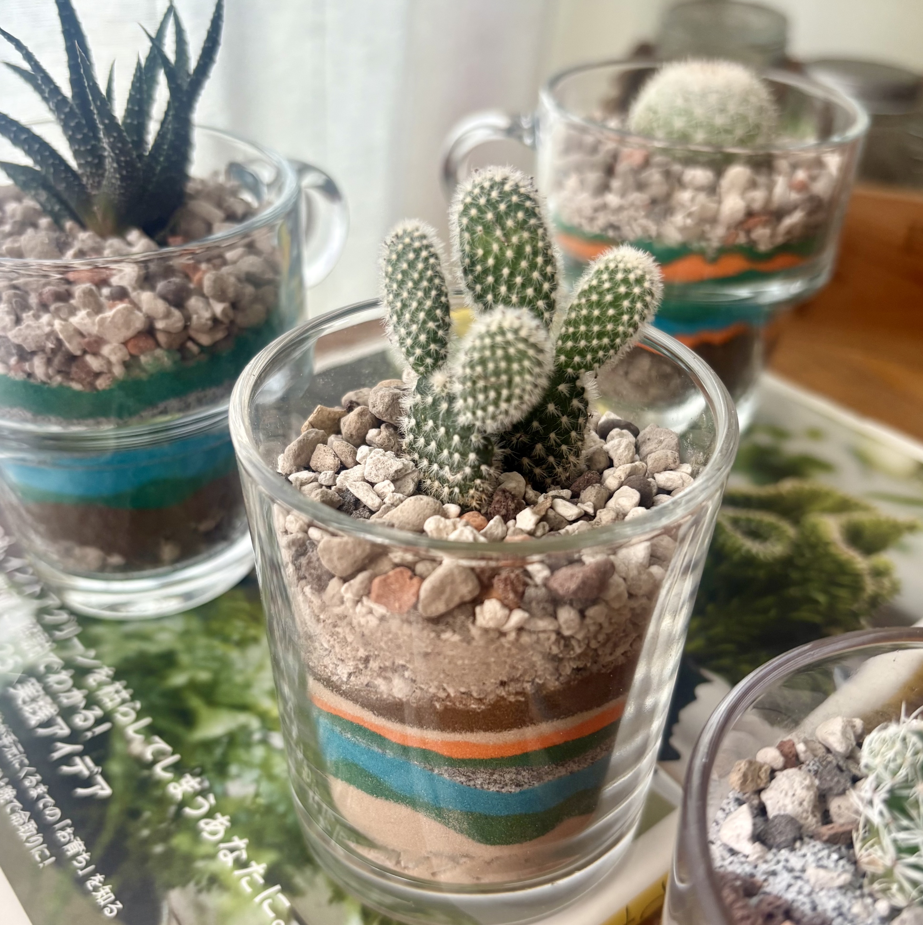 企業課程|沙畫杯多肉組盆1