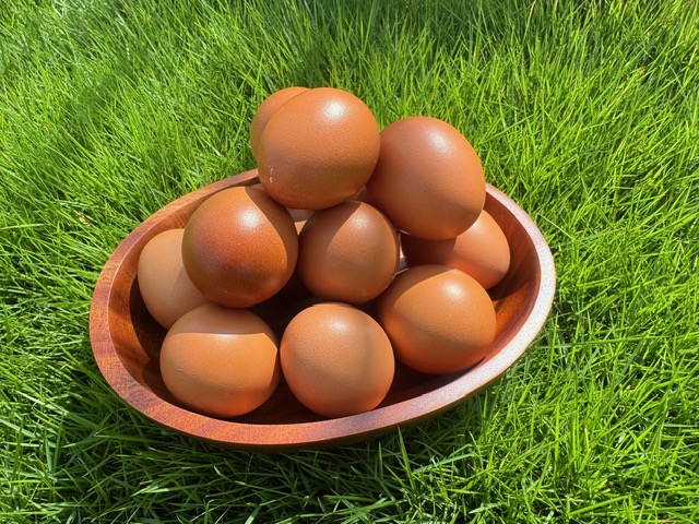 赤玉蛋｜簡單的，是最動人的