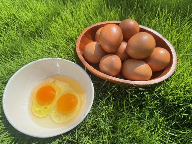雞油｜純淨提煉，讓料理回歸本質的香氣