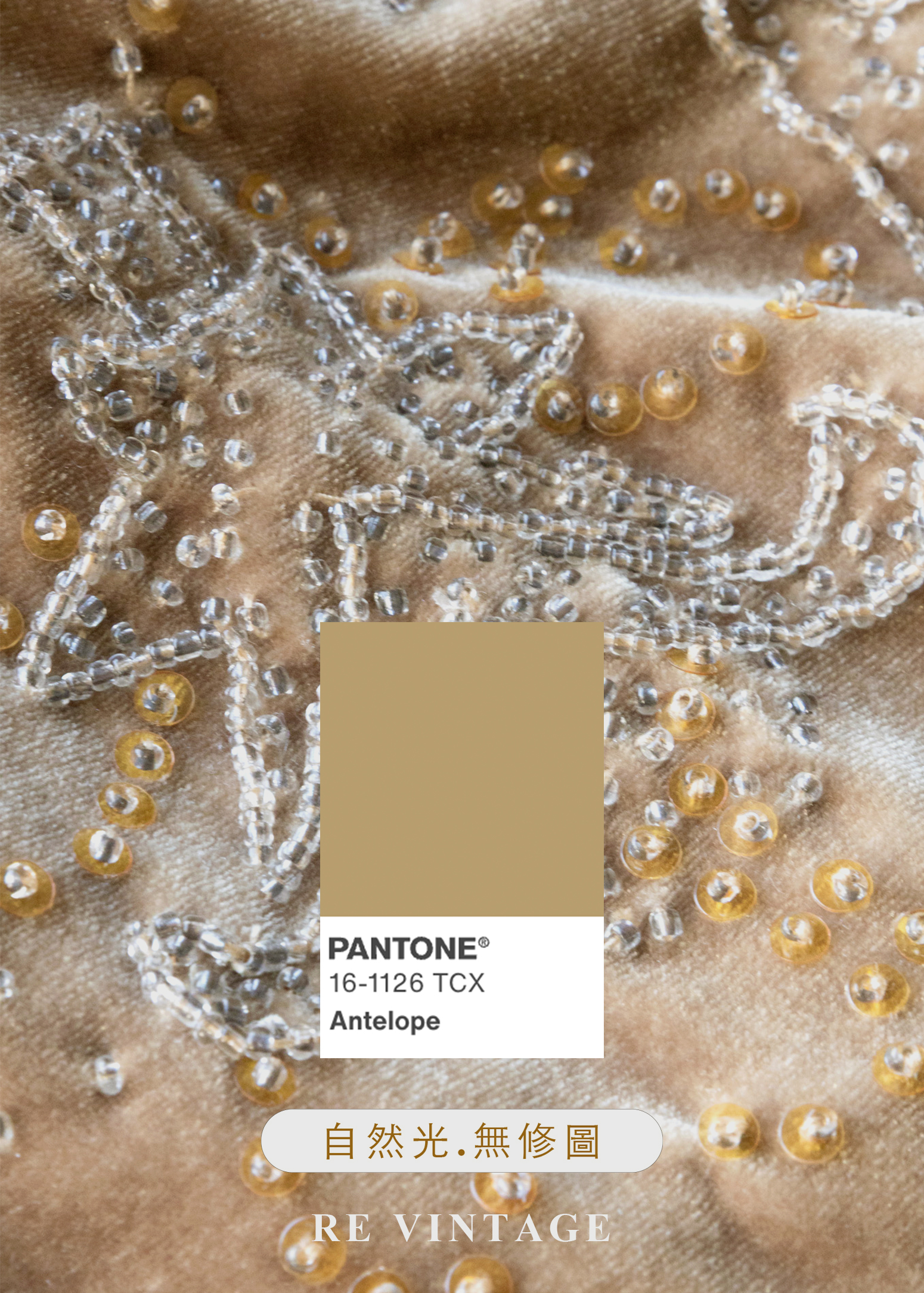 閃爍焦糖絲光珠珠刺繡絨布洋裝14