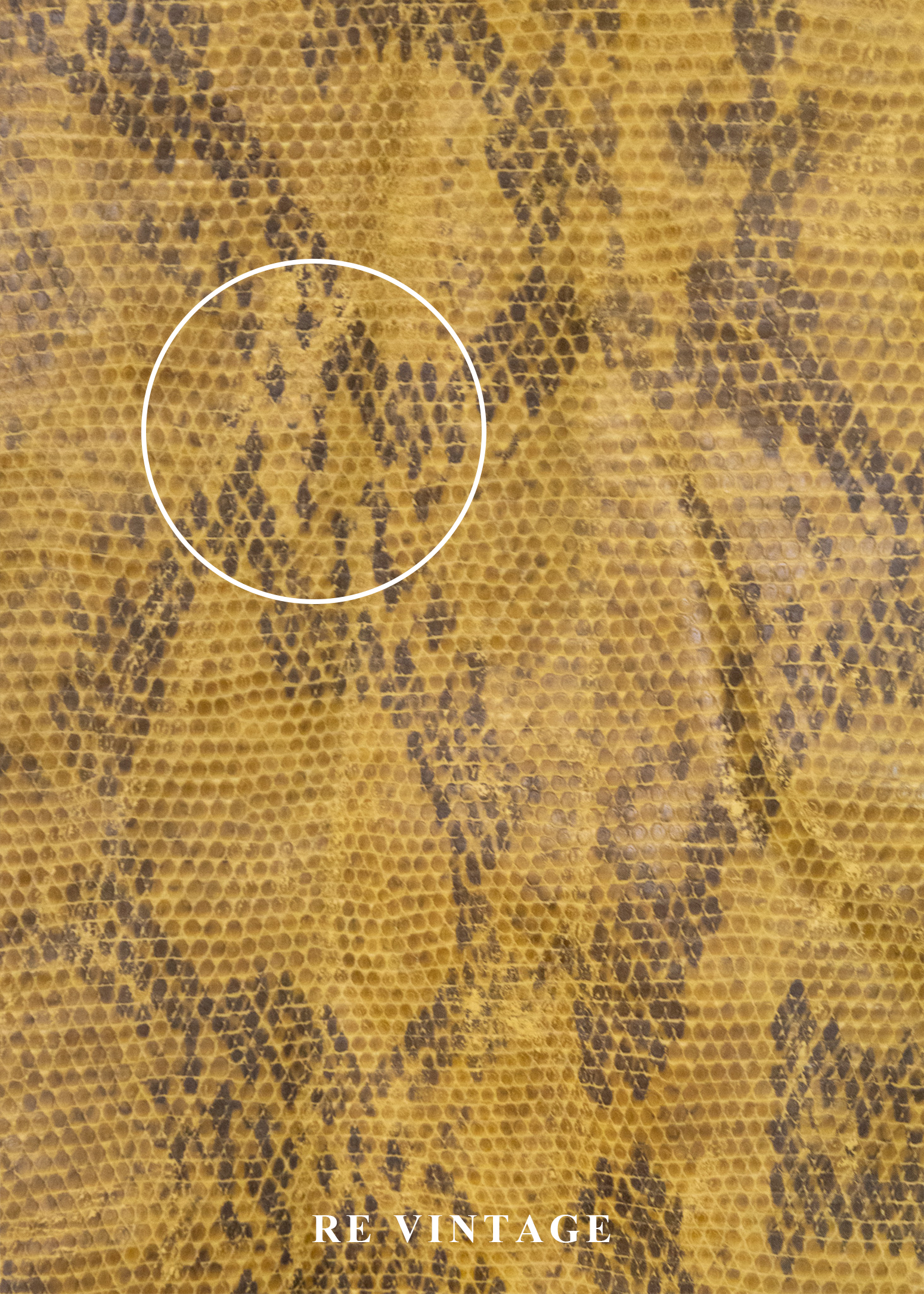 芥末黃蟒蛇紋皮革短裙(26")11