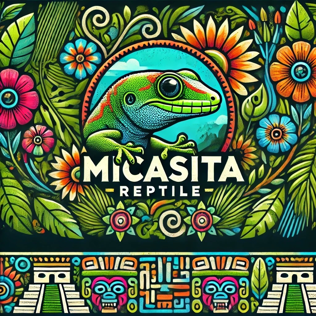 micasita_reptile micasita_reptile