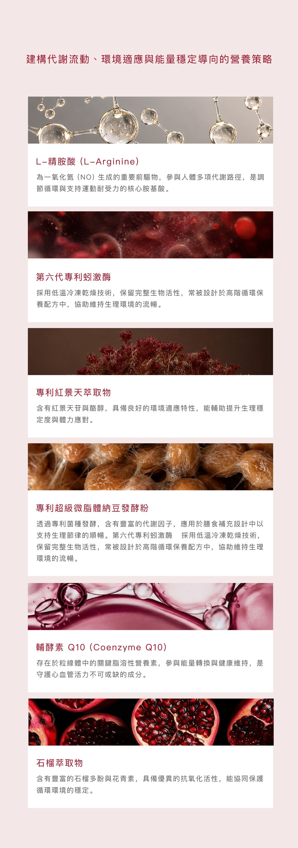 脈活360商說圖_4.jpg