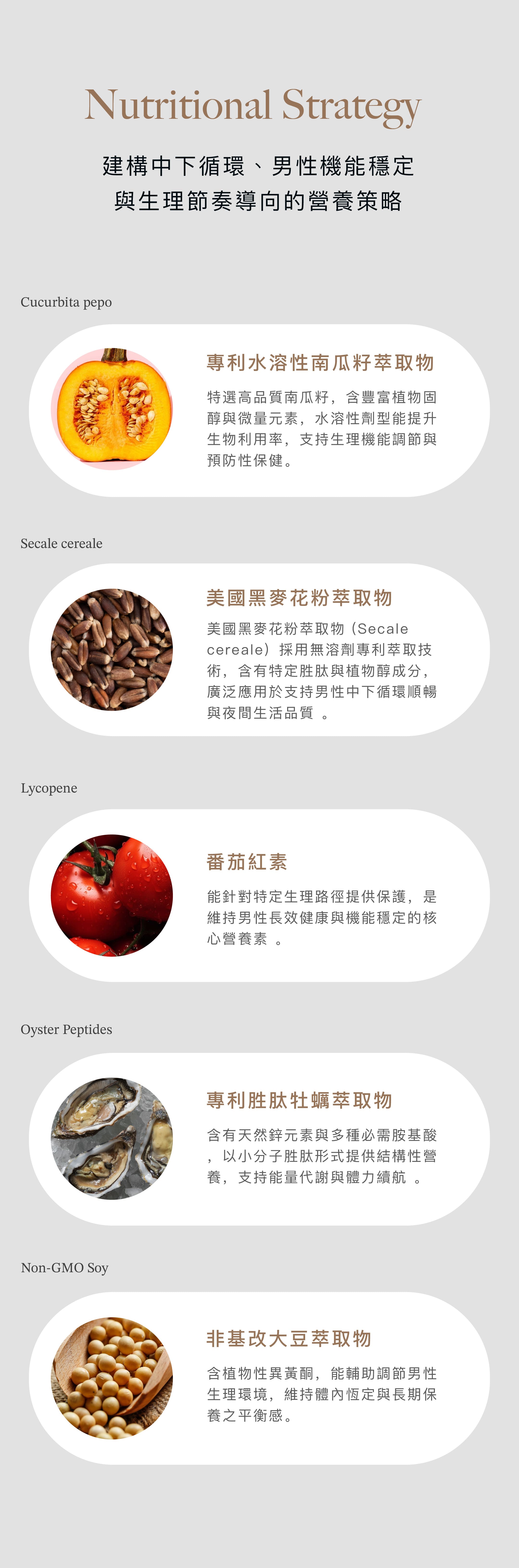 攝護腺商說圖_4.jpg