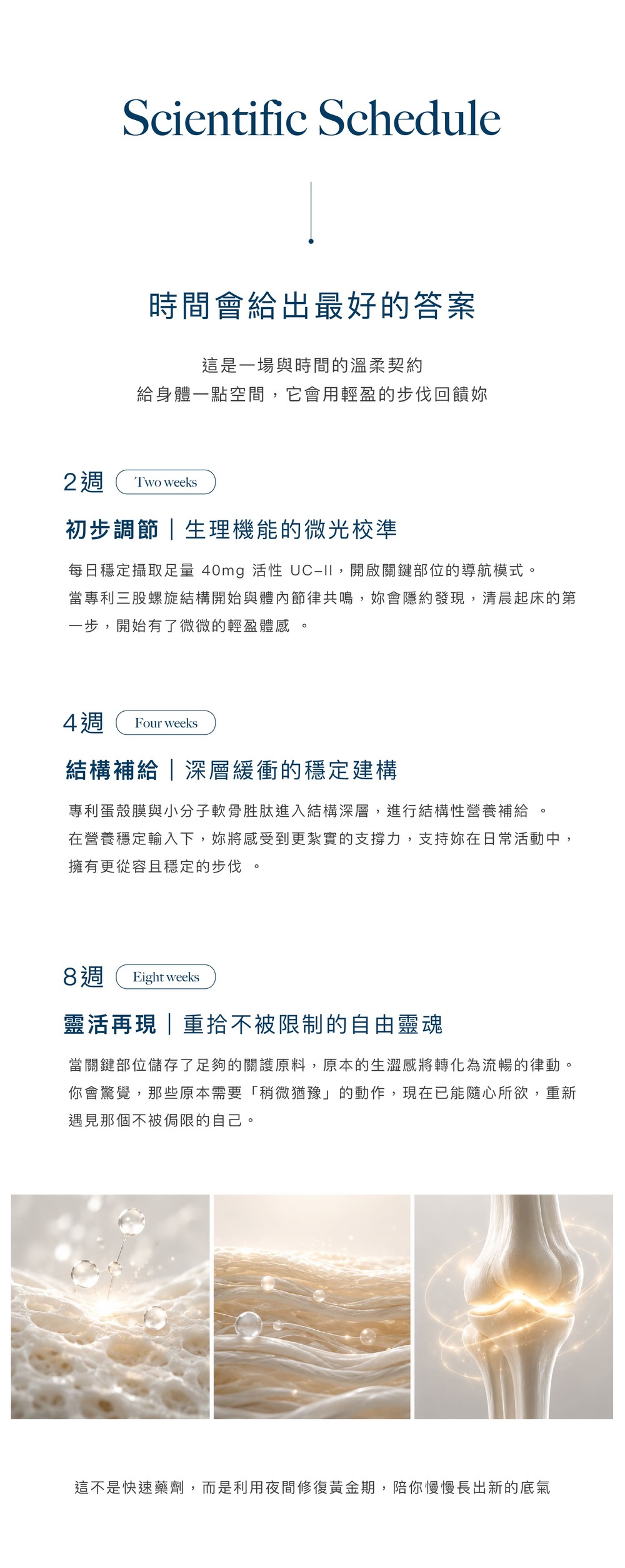 全能關護06.jpg
