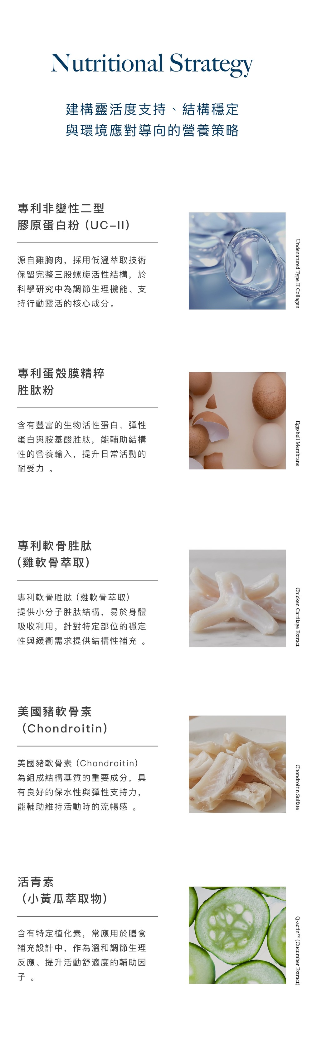全能關護04.jpg