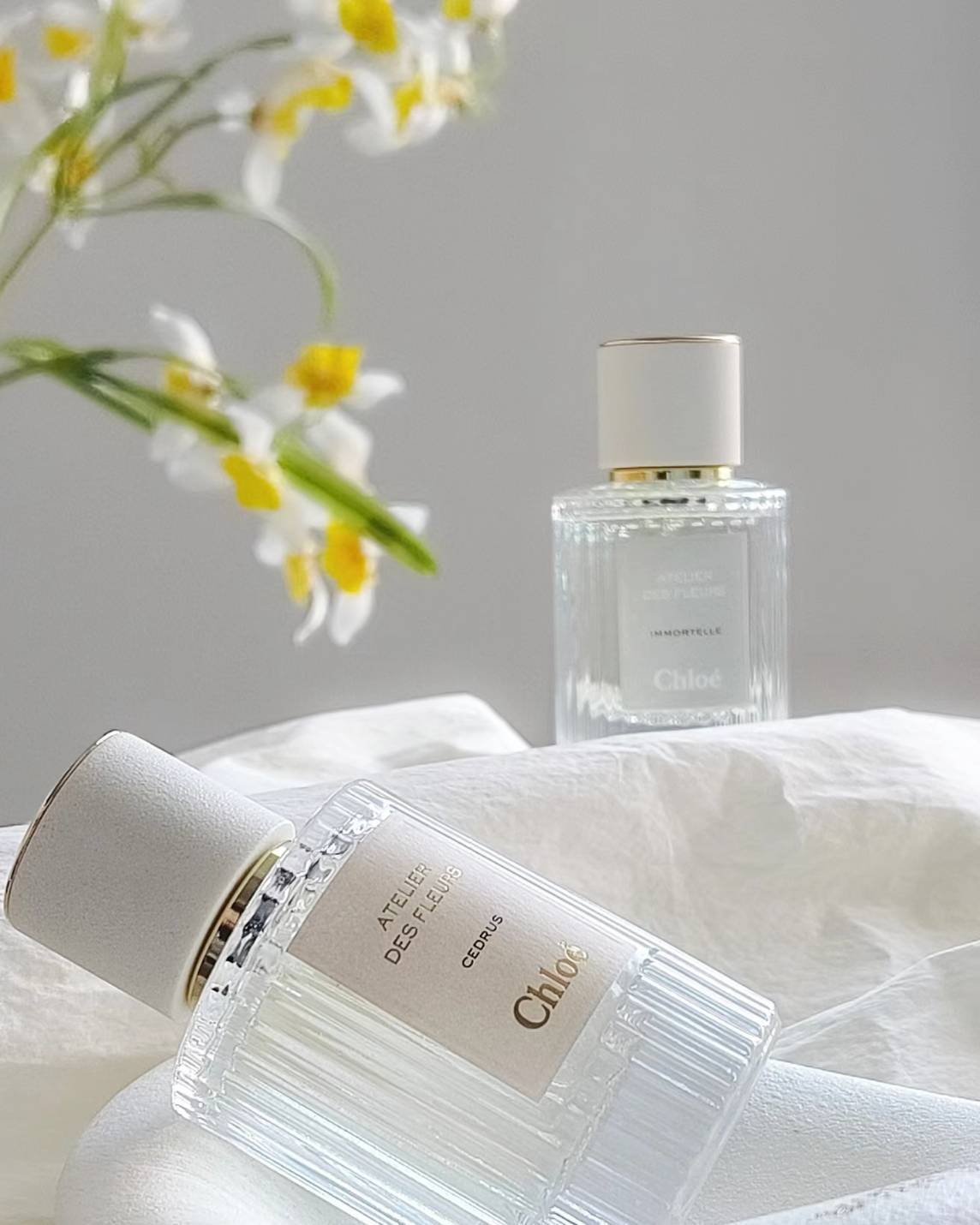 Chloé 仙境花園系列 北國雪松 50ml