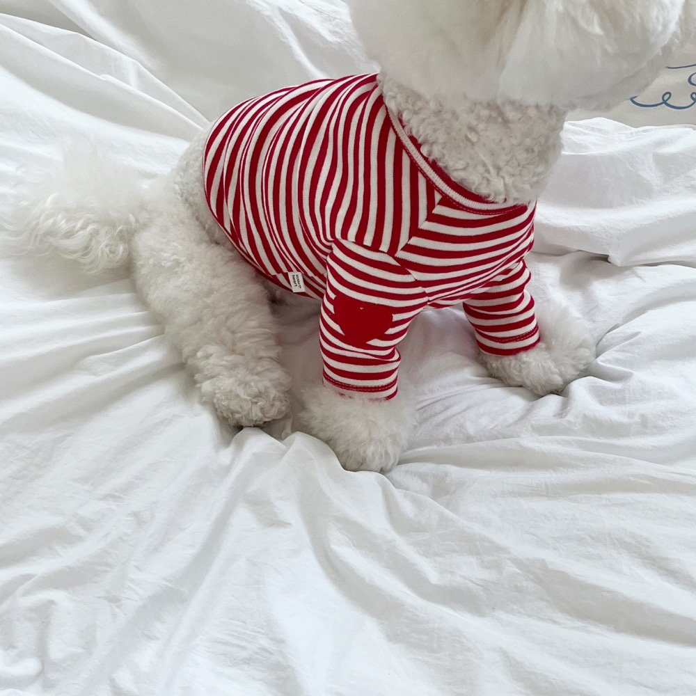 10X10代購🇰🇷狗狗橫條紋愛心衣