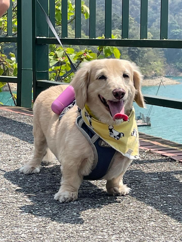 抽獎專區9/15（勿亂下單）