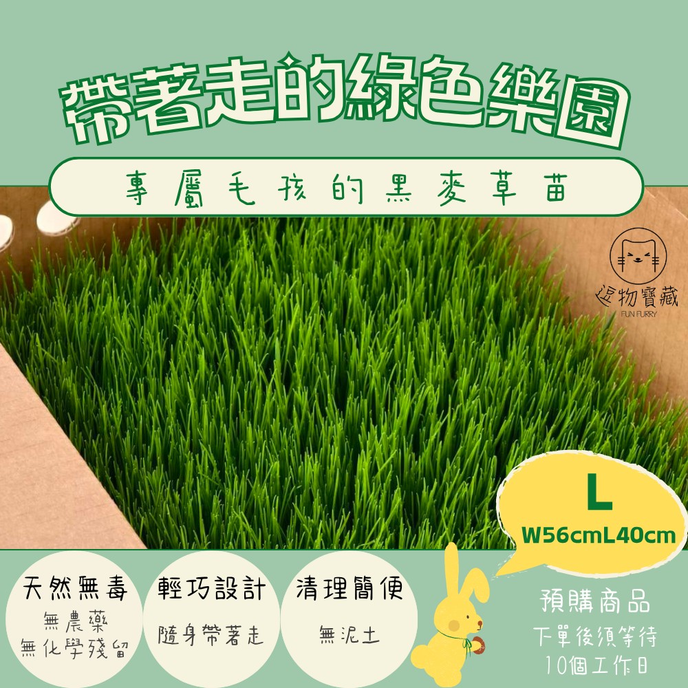 草皮-L.png