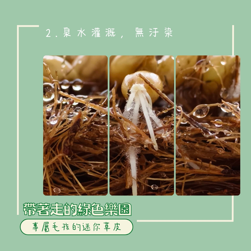 LINE_ALBUM_新版草皮上架附圖_250502_3.jpg