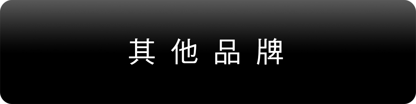 其他品牌