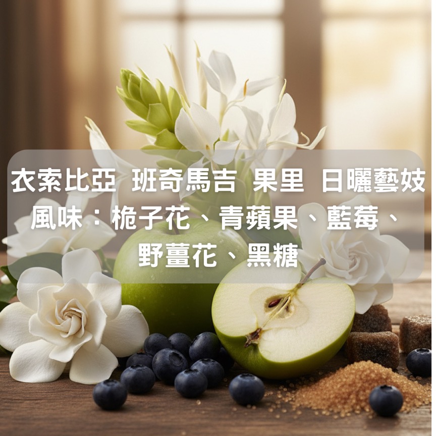 衣索比亞 班奇馬吉 G1 果里 日曬 藝妓(半磅/濾掛式10包)